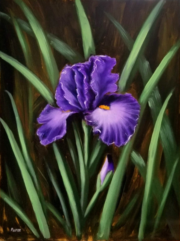 Purple Iris - AVAILABLE by Linda Merchant Pearce