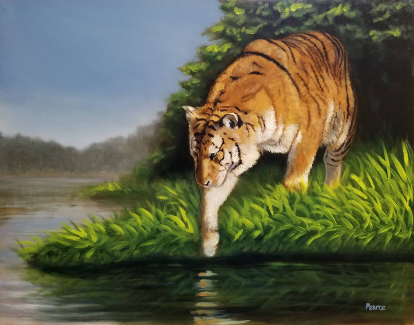 Testing the Water - Tiger by Linda Merchant Pearce
