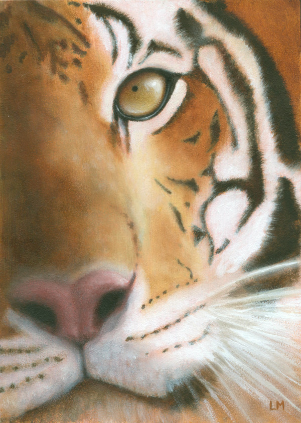 Tiger Eye SOLD by Linda Merchant Pearce