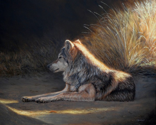 Last Light - Wolf SOLD by Linda Merchant Pearce