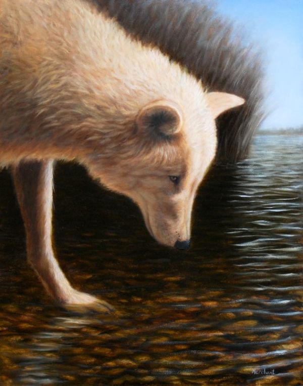 Wolf at the Stream SOLD by Linda Merchant Pearce