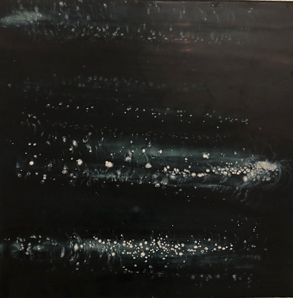 CHEMILUMINESCENCE 2 by STEPHANIE HARGRAVE