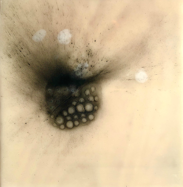 ENHANCED VELOCITY 1 by STEPHANIE HARGRAVE, Image 2.