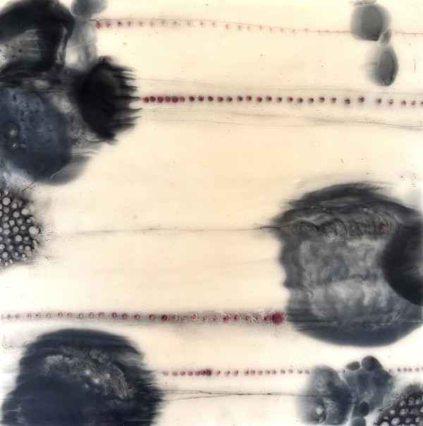 GLIDE by STEPHANIE HARGRAVE, Image 2.