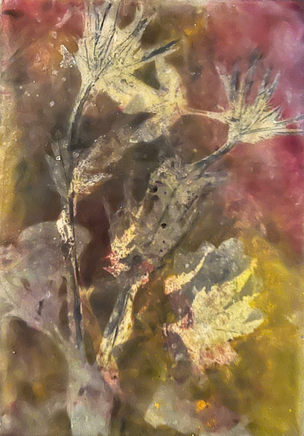 Jean Gorecki:  TREASURES