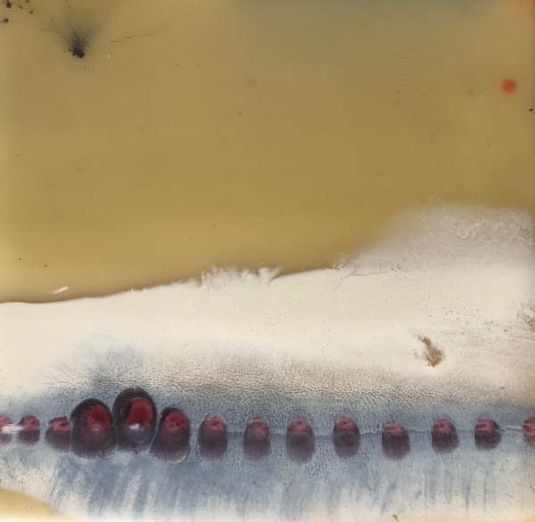 LINEA 2 by Stephanie Hargrave, Image 2.