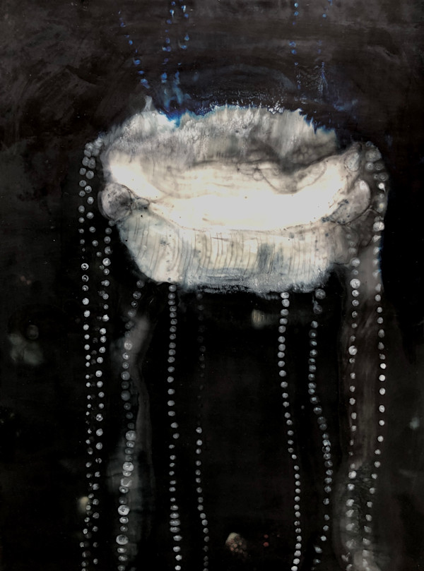 MIDNIGHT ZONE 3 by STEPHANIE HARGRAVE