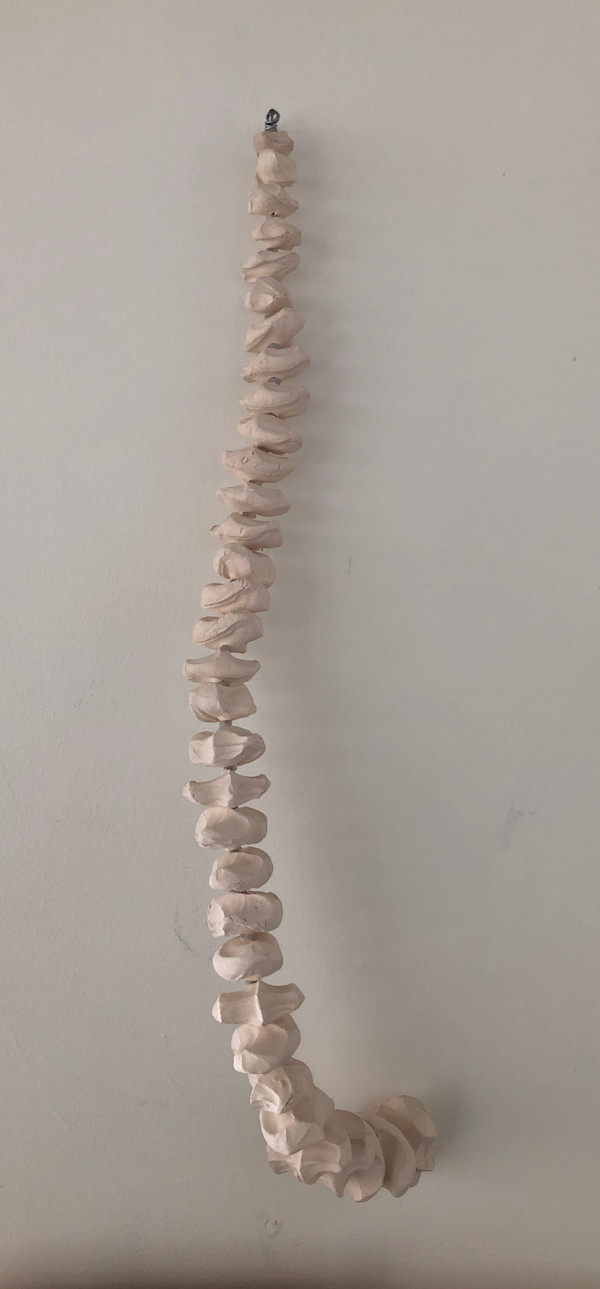 SPINE (frost white no 1) by STEPHANIE HARGRAVE