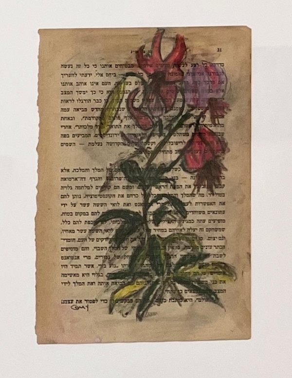 Bracha Guy:  UNTITLED 1