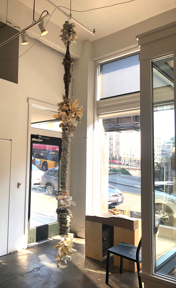 SIPHONOPHORA 1 by STEPHANIE HARGRAVE