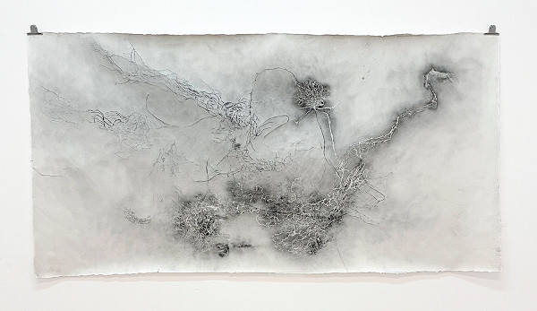Entre raízes by Nina Fraser, Image 8.