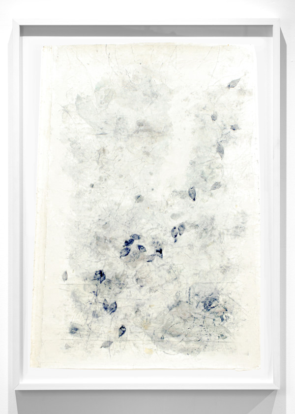here below by Nina Fraser