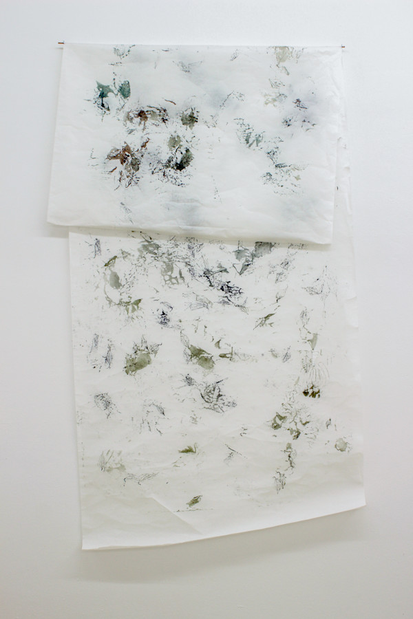 Winter leaves (folhas de inverno) by Nina Fraser