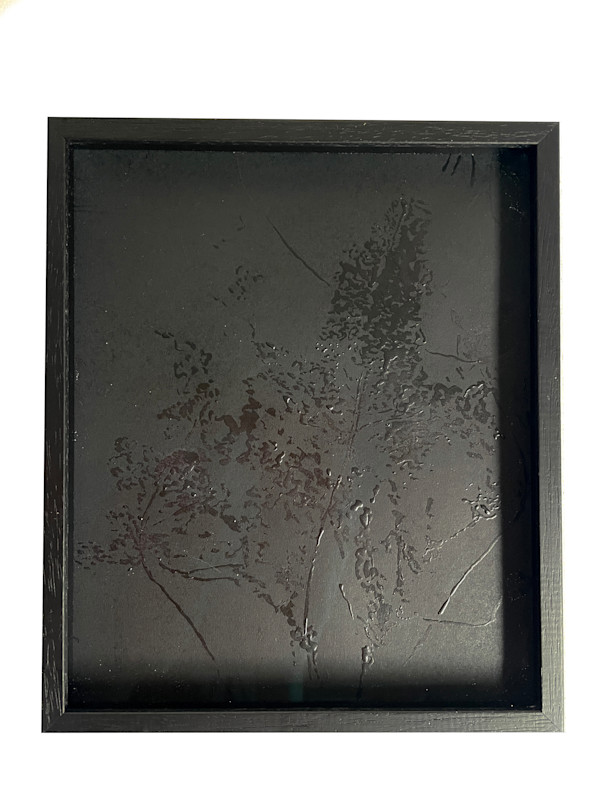 Leaves in black by Nina Fraser