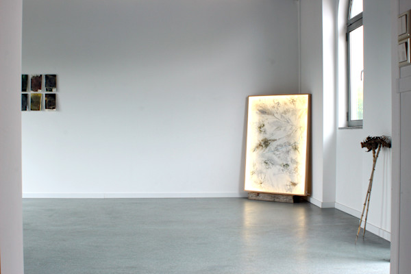 Vegetal Matters by Nina Fraser