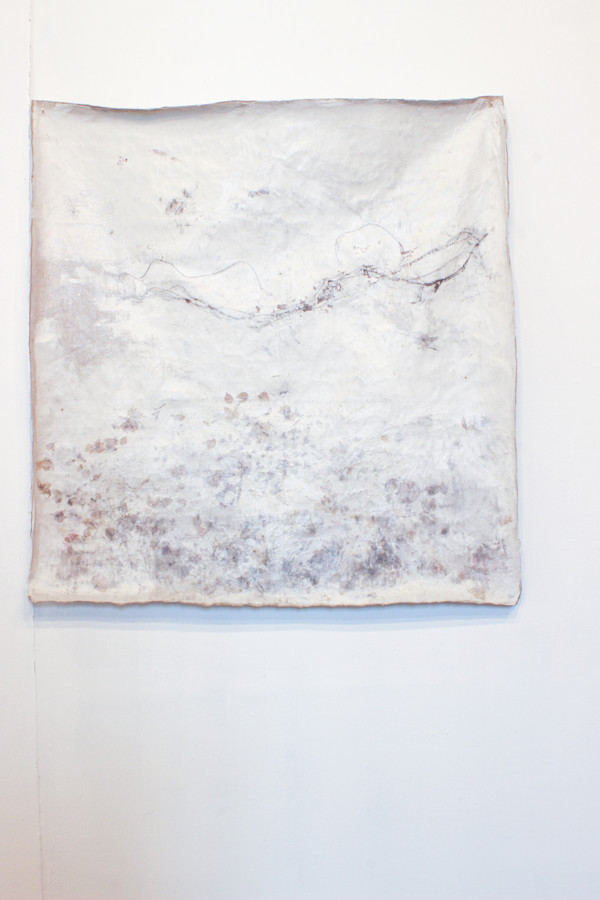 hyphae by Nina Fraser
