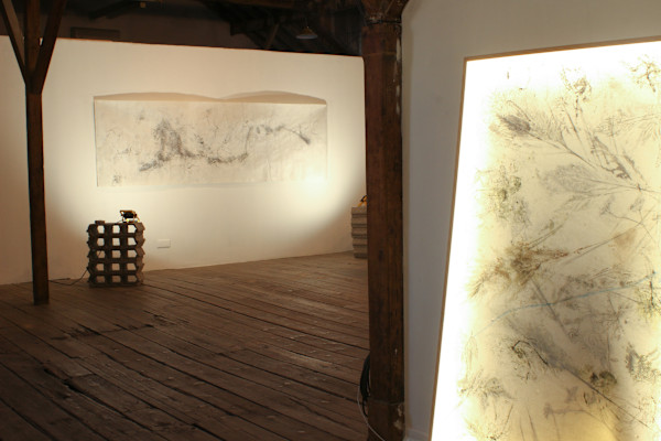 Deliquesce exhibition by Nina Fraser