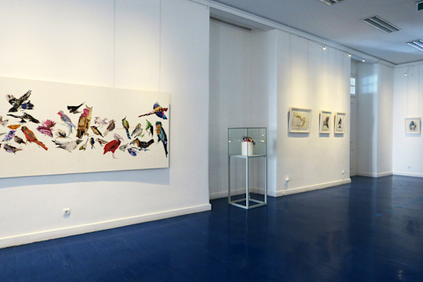 'TAXIS DERMA', Museum of National Science & History (Lisbon, Portugal) 2019 by Nina Fraser