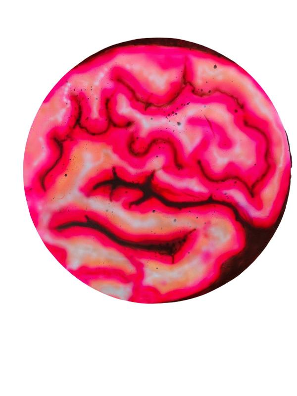 Brain Pill by Olga Hilgers