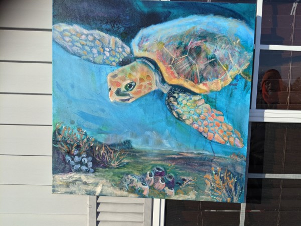 Sea Turtle I by Sarah Andreas