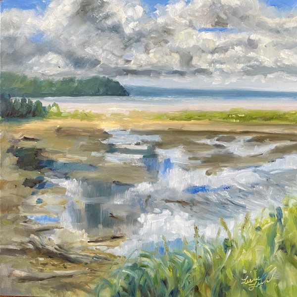 Big Clouds at Deer Lagoon by Liesel Lund