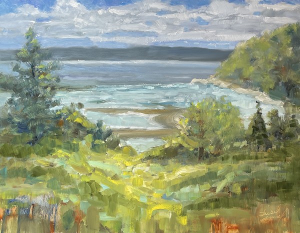 Endless Beauty of Whidbey by Liesel Lund