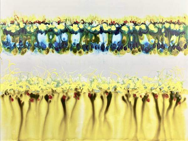 Conflict Zone 14 by Lyn Godley