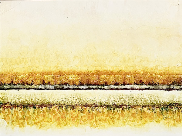 Conflict Zone 17 by Lyn Godley