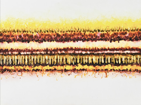 Conflict Zone 44 by Lyn Godley