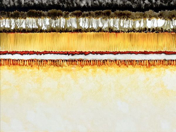 Conflict Zone 49 by Lyn Godley