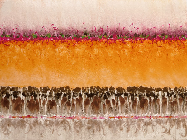 Conflict Zone 88 by Lyn Godley