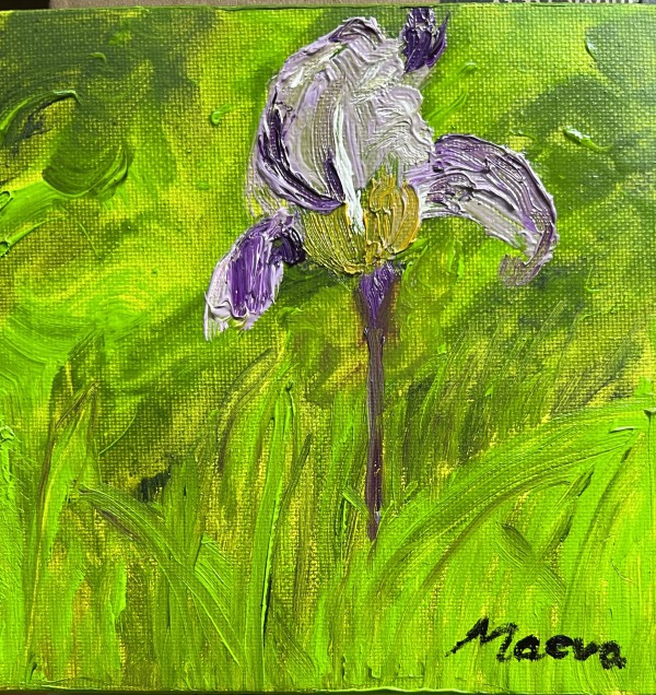Iris in my Garden by Maeva Lightheart