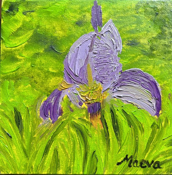 Purple Iris by Maeva Lightheart