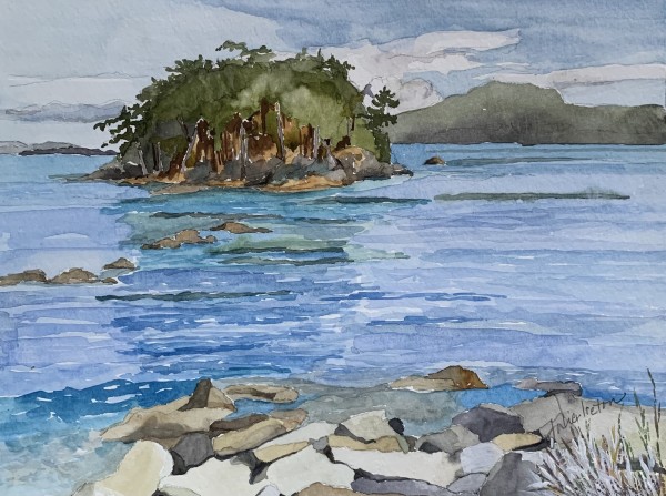 Georgeson Island by Julie Ireton