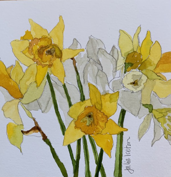 A Host of Golden Daffodils by Julie Ireton