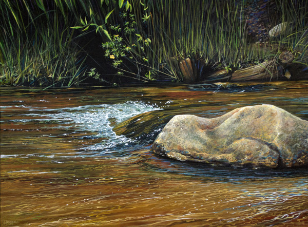 Wilderness Creek by Hunter Jay