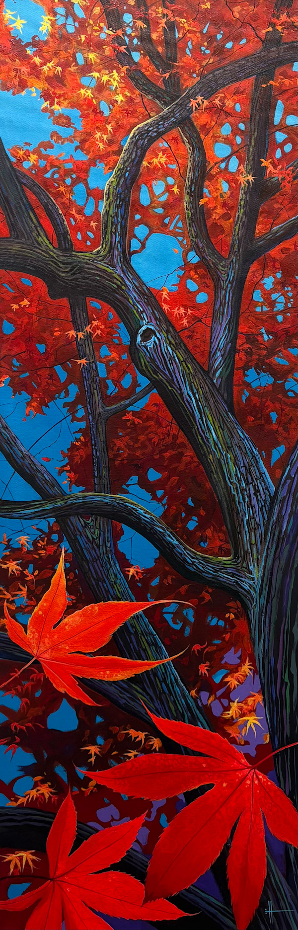 All Above Me by Hunter Jay