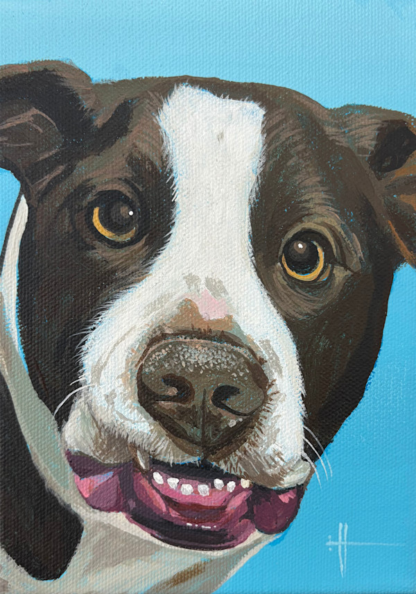 Brooks' Dog by Hunter Jay, Image 1.