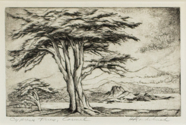 Cypress Trees, Carmel by Harriet Gene Roudebush