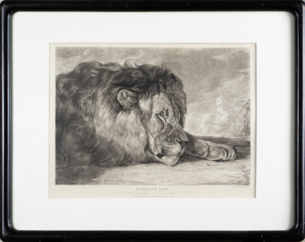 Sleeping Lion by John F. Lewis