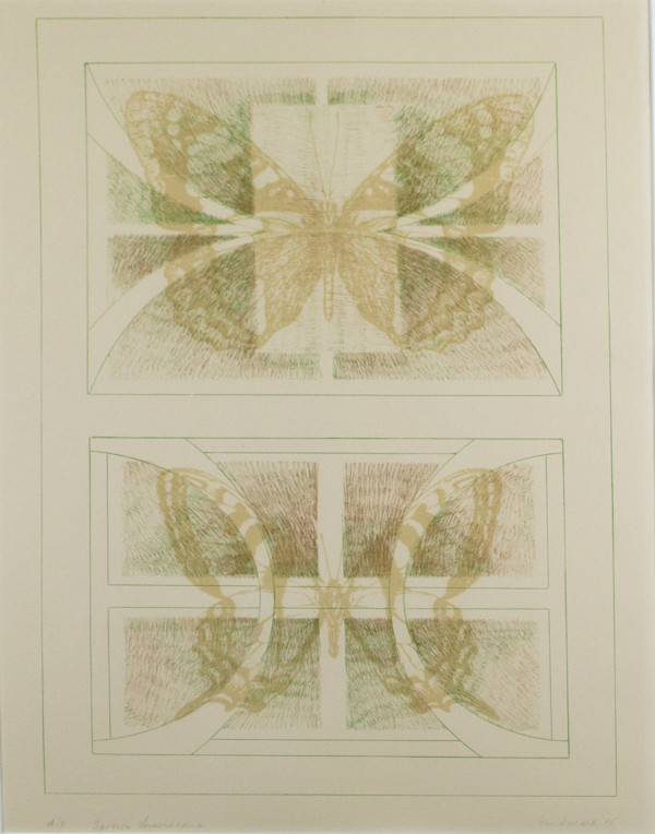 Species Americana by Enid Mark