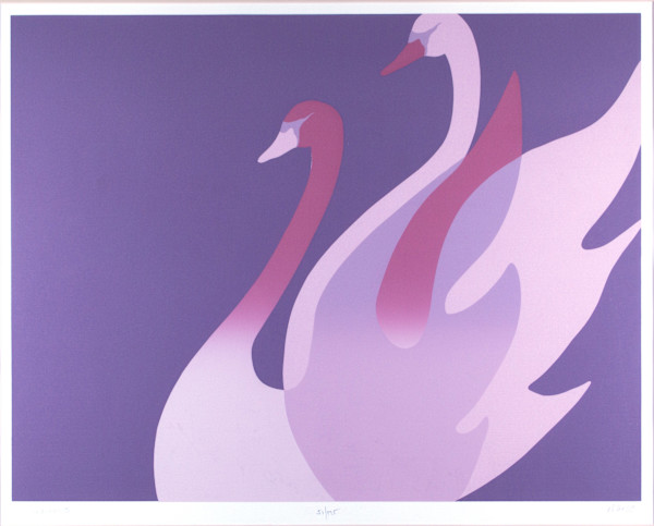 Swans by Marco