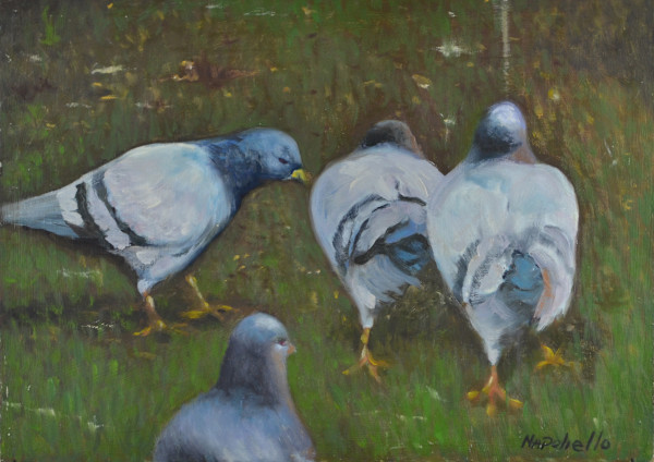 Three Pigeons (#9) by John Napoliello