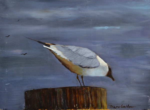 Sea Gull On Perch (#6) by John Napoliello