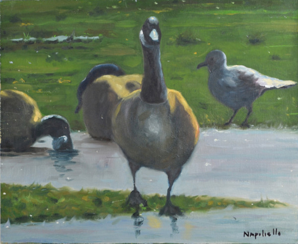 Birds In A Landscape by John Napoliello