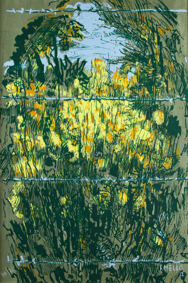Broomflowers by Gianfranco Mello