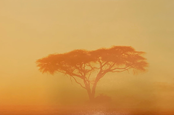 Dust Storm by Pete Turner, Image 1.