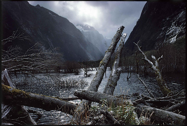 Milford Trek, New Zealand, 1991 by Alen MacWeeney