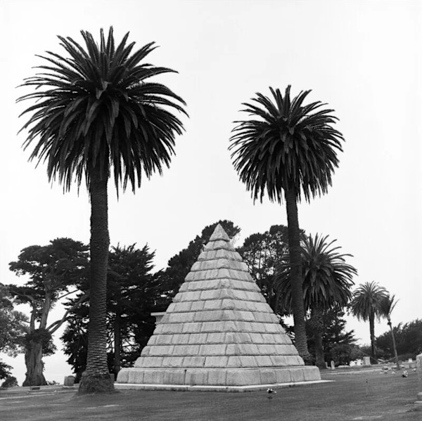 Pyramid & Palms by Jenny Lynn, Image 2.