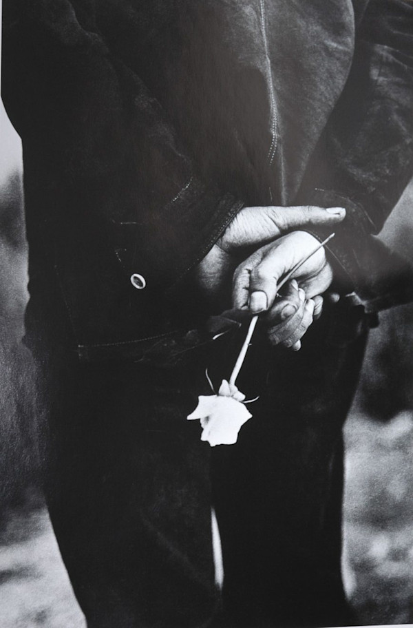 Untitled by Ralph Gibson, Image 1.